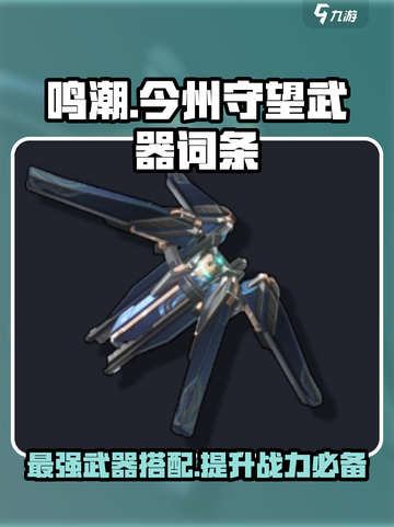 鸣潮⚡今州守望武器谁用？终极攻略来了！截图1