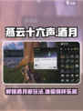 燕云十六声酒月是什么介绍