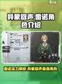 异象回声雷诺怎么样介绍