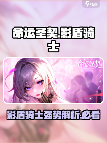命运圣契影盾骑士怎么样介绍截图1