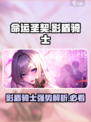 命运圣契影盾骑士怎么样介绍