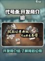 代号杀是哪个公司的介绍