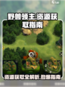 《野兽领主》新世界资源大揭秘🔥超全获取方式等你来探索！