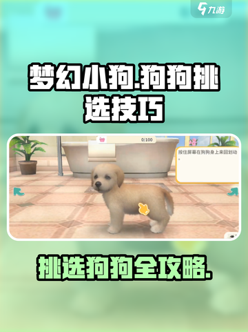 梦幻小狗怎么选狗介绍截图1