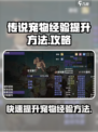再刷一把2金色传说宠物经验如何提升介绍