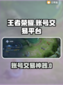 游戏代练平台大揭秘！🔥王者荣耀账号交易神器推荐✨
