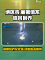 绝区零：丽娜培养全解析💥技能加点推荐！