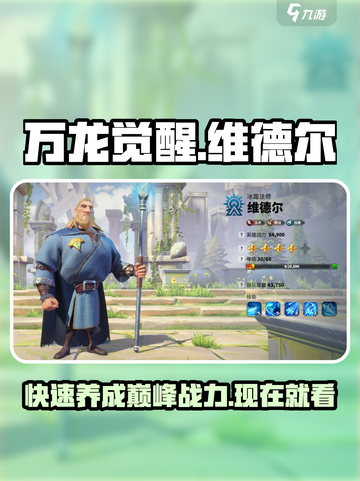 万龙觉醒维德尔怎么练介绍截图1