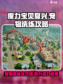 魔力宝贝复兴洗宠攻略介绍介绍