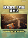 秋末求生下载慢？提速方法在这里👇🔥