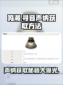 鸣潮寻音声纳怎么获得介绍