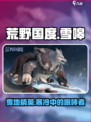 荒野国度雪嗥怎么样介绍