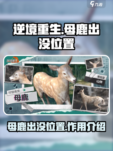 逆境重生🔥母鹿出没位置及作用揭秘🎮截图1