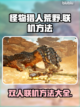 怪物猎人荒野✅双人联机方法大公开！🔥截图1