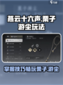 燕云十六声栗子怎么玩介绍