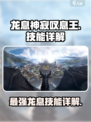 龙息神寂叹息王🔥技能详解，游戏党必看！