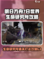 七日世界生命研究所怎么打介绍