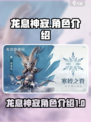 龙息神寂图鉴分享介绍
