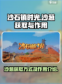 《沙石镇时光》：快速获取沙葱秘籍🔥