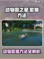 动物园之星怎么繁殖介绍