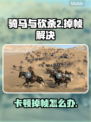🎮骑马与砍杀2卡到爆！秒变丝滑大神🔥