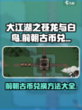 大江湖之苍龙与白鸟前朝古币兑换方法介绍