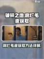 破碎之地腐烂毛皮怎么获取介绍