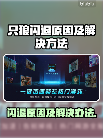 只狼闪退？加速器来救场！🔥🎮截图1