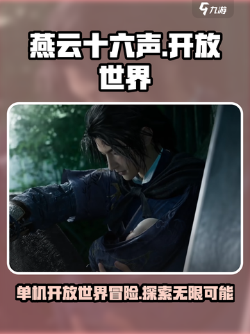 燕云十六声是单机吗介绍截图1