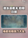 潜水员戴夫拍照怎么拍介绍