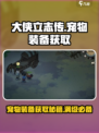 《大侠立志传》宠物装备获取秘籍💥游戏大佬必看！