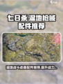七日世界代顿湿地枪械配件推荐介绍