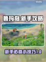 鲁玛岛新手必看！💥快速上分小技巧💡