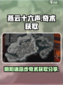 燕云十六声阴阳迷踪步奇术在哪里获取介绍