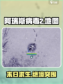 🔥阿瑞斯病毒2全地图揭秘！🗺