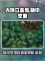 大侠立志传🔥林中空地任务攻略大全来啦！