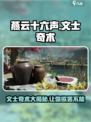 燕云十六声🔥文士奇术全解析，掌握这些轻松制胜！