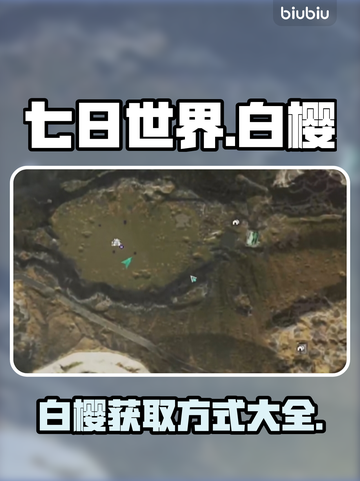 七日世界白樱获取攻略💎游戏新手必看！截图1