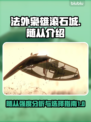 法外枭雄滚石城🔥随从强度大揭秘！💥