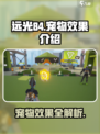 远光84宠物大揭秘💥游戏党必看！🔥