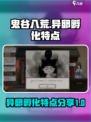 鬼谷八荒异卵能孵化吗介绍