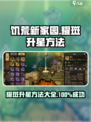 饥荒新家园✨耀斑升星攻略，快速提升战力！