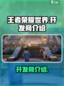 王者荣耀世界开发商是谁介绍
