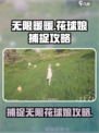 无限暖暖花球娘怎么捕捉介绍
