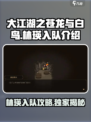 大江湖之苍龙与白鸟林瑛怎么入队介绍