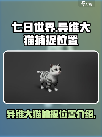 七日世界异维大猫在哪抓介绍截图1