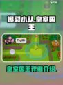 爆裂小队皇室国王怎么样介绍