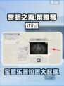 黎明之海🔥莱雅琴位置大揭秘！ музык