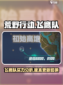 荒野起源飞鹰队怎么样介绍