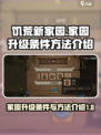 饥荒新家园💡家园升级条件和方法大揭秘！